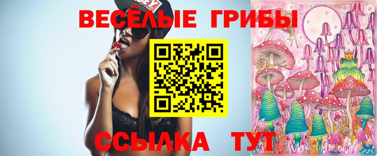 Галлюциногенные грибы Cubensis Десногорск