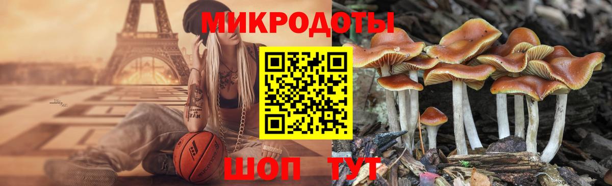 закладки  Вход с VPN  Десногорск  Псилоцибиновые грибы ЛСД 